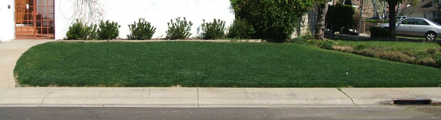 after lawn aeration