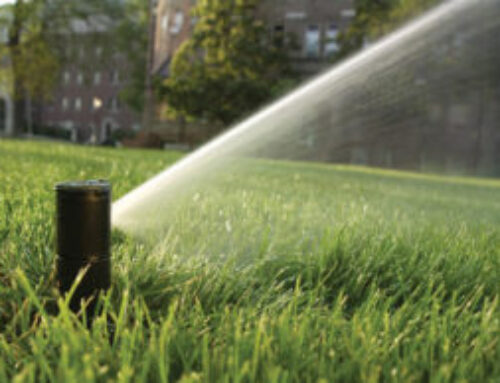 How to Water Your Lawn Properly